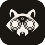 marketraccoon.com