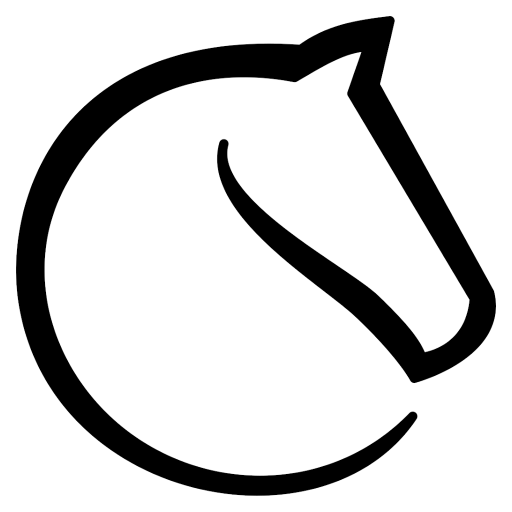 Lichess Org